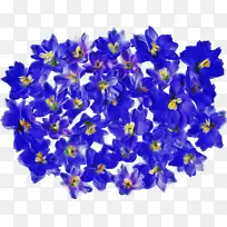 博客 花 蓝色-空若网 博客 花 蓝色-空若网