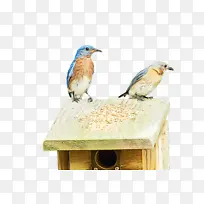 水彩画 油漆 湿墨水-空若网 水彩画 油漆 湿墨水-空若网