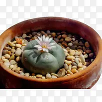 Ë®²Ê ÓÍÆá ʪīˮ-¿ÕÈôÍø Ë®²Ê ÓÍÆá ʪīˮ-¿ÕÈôÍø