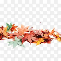 ˮ�ʻ� ���� ʪī-������