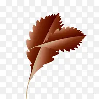 ÇïÒ¶ ¿¨Í¨Ò¶ Ë®²Ê»-¿ÕÈôÍø ÇïÒ¶ ¿¨Í¨Ò¶ Ë®²Ê»-¿ÕÈôÍø