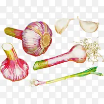 蔬菜 静物摄影 花瓣-空若网 蔬菜 静物摄影 花瓣-空若网