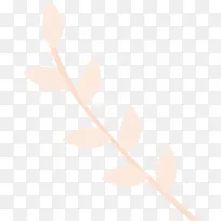 植物生物学-空若网 植物生物学-空若网