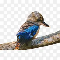 素描 绘画 水彩画-空若网 素描 绘画 水彩画-空若网