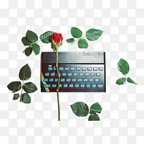 叶 米 科学-空若网 叶 米 科学-空若网