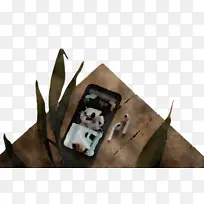 鼻子-空若网 鼻子-空若网