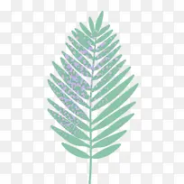 Ê÷Ö¦ Ò¶×Ó Ö²Îï¾¥-¿ÕÈôÍø Ê÷Ö¦ Ò¶×Ó Ö²Îï¾¥-¿ÕÈôÍø