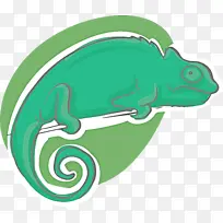 鱼类 爬行动物 绿色-空若网 鱼类 爬行动物 绿色-空若网