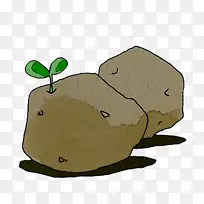 新鲜蔬菜 爬行动物 两栖动物-空若网 新鲜蔬菜 爬行动物 两栖动物-空若网