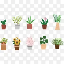 ���� �� ��-������