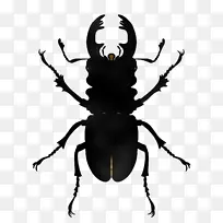 �׳� ���� ������-������