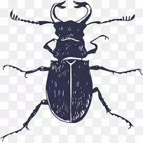 ���溣��-���Ƽ׳�-������