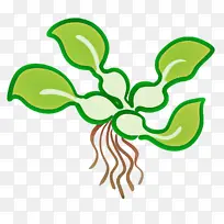 昆虫 植物茎 叶-空若网 昆虫 植物茎 叶-空若网