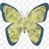 刷足蝴蝶 斑蝶科 蛾类-空若网 刷足蝴蝶 斑蝶科 蛾类-空若网