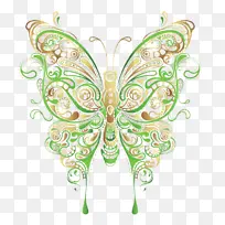 ���� ���� �������-������