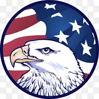 消防喷淋系统 灭火器 火灾-空若网 消防喷淋系统 灭火器 火灾-空若网