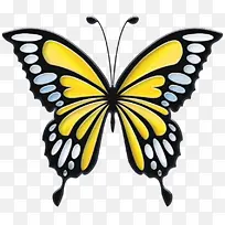 蝴蝶 昆虫 帝王蝶-空若网 蝴蝶 昆虫 帝王蝶-空若网