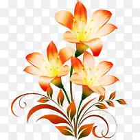 �ٺϻ� ������� ��ɫ�ٺ�-������