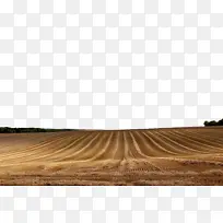 ���� ��̬�� ��-������