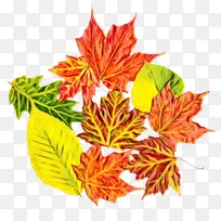 Ë®²Ê» ÓÍÆá ʪī-¿ÕÈôÍø Ë®²Ê» ÓÍÆá ʪī-¿ÕÈôÍø