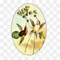 Ë®²Ê ÓÍÆá ʪīˮ-¿ÕÈôÍø Ë®²Ê ÓÍÆá ʪīˮ-¿ÕÈôÍø