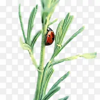 水彩画 颜料 湿墨-空若网 水彩画 颜料 湿墨-空若网