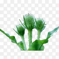 ˮ�ʻ� ���� ʪī-������