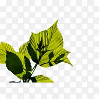 Ë®²Ê» ÑÕÁÏ ÊªÄ«-¿ÕÈôÍø Ë®²Ê» ÑÕÁÏ ÊªÄ«-¿ÕÈôÍø