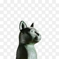 ���� è ����-������