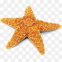 水彩 油漆 湿墨水-空若网 水彩 油漆 湿墨水-空若网