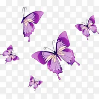 帝王蝶 蝴蝶 昆虫-空若网 帝王蝶 蝴蝶 昆虫-空若网