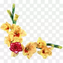 花红黄-唐菖蒲-空若网 花红黄-唐菖蒲-空若网