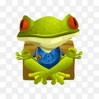 ��װ ��ñ�� ����-������