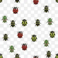 蝴蝶 昆虫 细胞膜-空若网 蝴蝶 昆虫 细胞膜-空若网