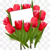 郁金香花红夹子艺术-女性日-空若网 郁金香花红夹子艺术-女性日-空若网