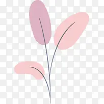 美 植物 科学-空若网 美 植物 科学-空若网