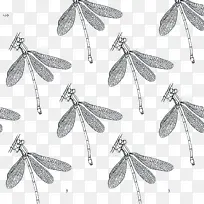 蝴蝶 叶 昆虫-空若网 蝴蝶 叶 昆虫-空若网