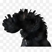 ���� �ڱ�-������