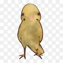 �� � ��-������