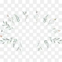 叶枝 树枝 叶子-空若网 叶枝 树枝 叶子-空若网