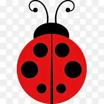 瓢虫 阿德里安阿格雷斯特 绘画-空若网 瓢虫 阿德里安阿格雷斯特 绘画-空若网