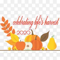 �ж��ڿ���-������