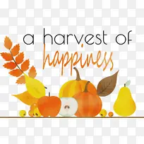 �ж��ڿ���-������