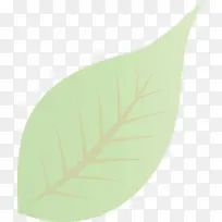 ��Ҷ ˮ�ʻ� ����-������