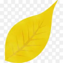 ��Ҷ ˮ�ʻ� ����-������