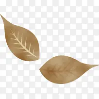 ��Ҷ ˮ�ʻ� ����-������