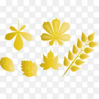 秋叶 秋色 黄色-空若网 秋叶 秋色 黄色-空若网
