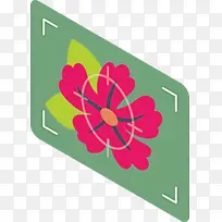 叶子 植物茎 水彩画-空若网 叶子 植物茎 水彩画-空若网