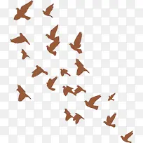 ·ÉÄñ±³¾° »æÍ¼ Ë®²Ê»-¿ÕÈôÍø ·ÉÄñ±³¾° »æÍ¼ Ë®²Ê»-¿ÕÈôÍø