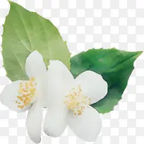 Ë®²Ê ÓÍÆá ʪīˮ-¿ÕÈôÍø Ë®²Ê ÓÍÆá ʪīˮ-¿ÕÈôÍø